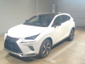 2020 Lexus NX