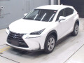 2014 Lexus NX