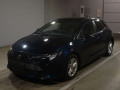 2020 Toyota Corolla Sports