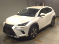 2020 Lexus NX