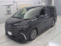 2024 Toyota Alphard