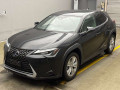 2021 Lexus UX
