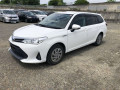 2019 Toyota Corolla Fielder