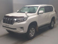 2019 Toyota Land Cruiser Prado