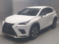 2019 Lexus NX