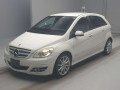 2010 Mercedes Benz B-Class