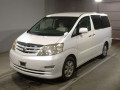 2008 Toyota Alphard
