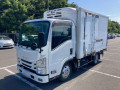2018 Isuzu Elf Truck