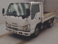 2009 Isuzu Elf Truck