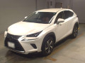 2019 Lexus NX