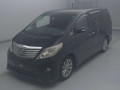 2010 Toyota Alphard