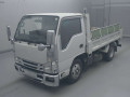2020 Isuzu Elf Truck