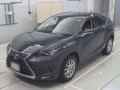 2019 Lexus NX