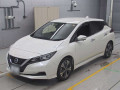 2021 Nissan Leaf