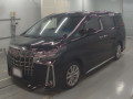 2021 Toyota Alphard