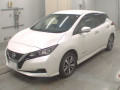 2020 Nissan Leaf