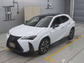 2022 Lexus UX