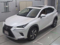 2020 Lexus NX