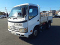 2010 Toyota Dyna Truck