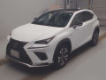2019 Lexus NX