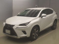 2020 Lexus NX
