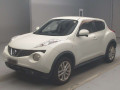 2010 Nissan JUKE