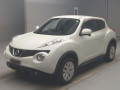 2011 Nissan JUKE