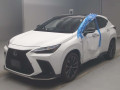 2022 Lexus NX