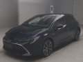 2020 Toyota Corolla Sports