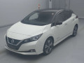 2019 Nissan Leaf