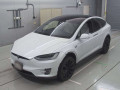 2020 Others MODEL X