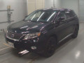 2009 Lexus RX