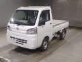 2019 Daihatsu Hijet Truck