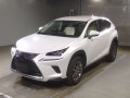2020 Lexus NX