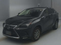 2021 Lexus NX