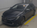 2019 Toyota Corolla Touring Wagon
