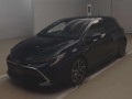2019 Toyota Corolla Sports