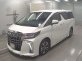 2021 Toyota Alphard