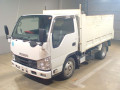 2019 Isuzu Elf Truck