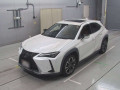2020 Lexus UX