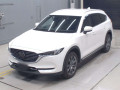 2019 Mazda CX-8