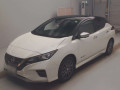 2021 Nissan Leaf