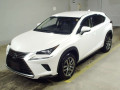 2019 Lexus NX