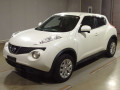 2011 Nissan JUKE