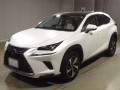 2020 Lexus NX