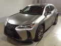 2019 Lexus UX