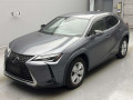 2019 Lexus UX