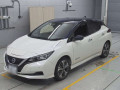 2020 Nissan Leaf