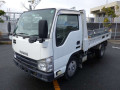 2013 Isuzu Elf Truck