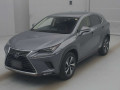 2020 Lexus NX